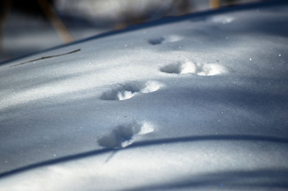 Photograph by Татьяна Жиркина