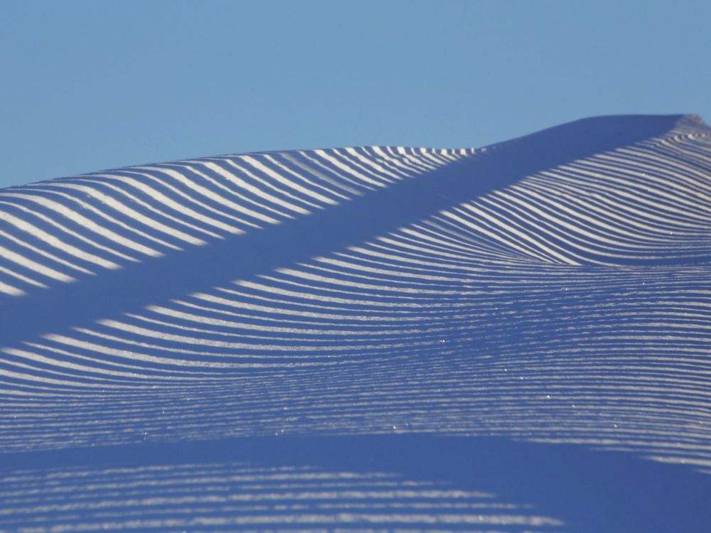 Фотография автора Александр Кожевников