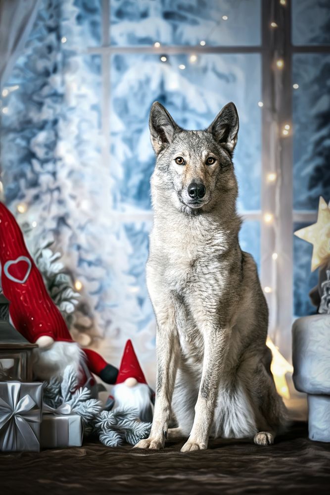 Photograph by Francesca Calabró