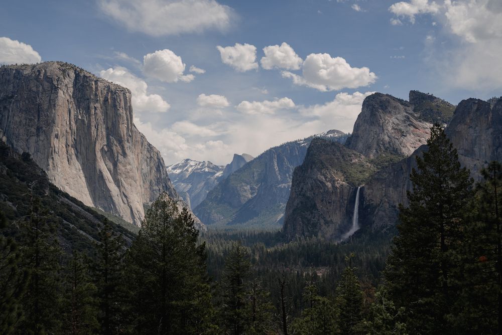 Photograph by Anna Vlasova