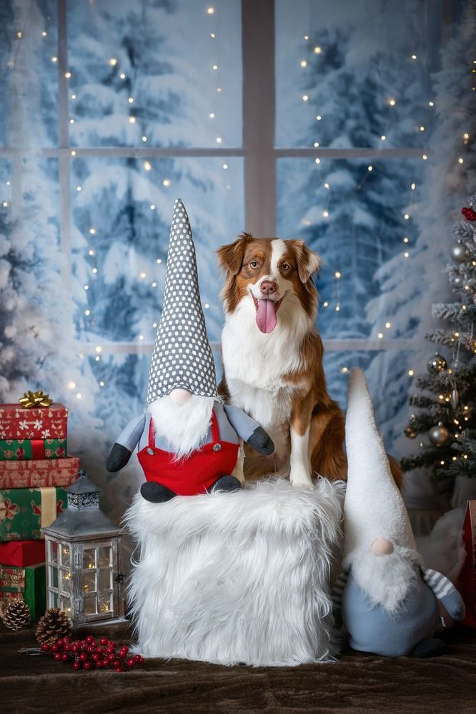 Photograph by Francesca Calabró