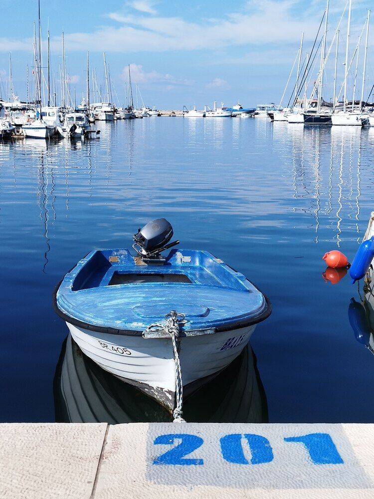 Фотография автора JELENA VASIC