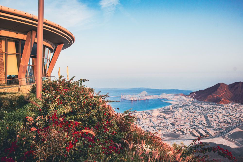 Фотография автора Sarrah Yehia