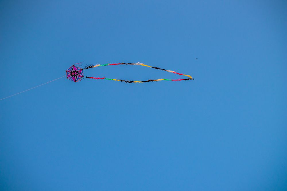 Фотография автора Sarrah Yehia