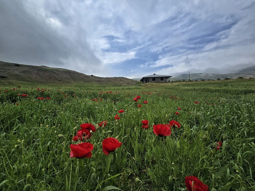 Photograph by Masoumeh Rahimi