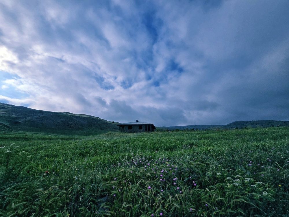 Photograph by Masoumeh Rahimi