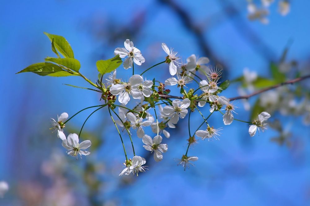 Photograph by Татьяна Бравая