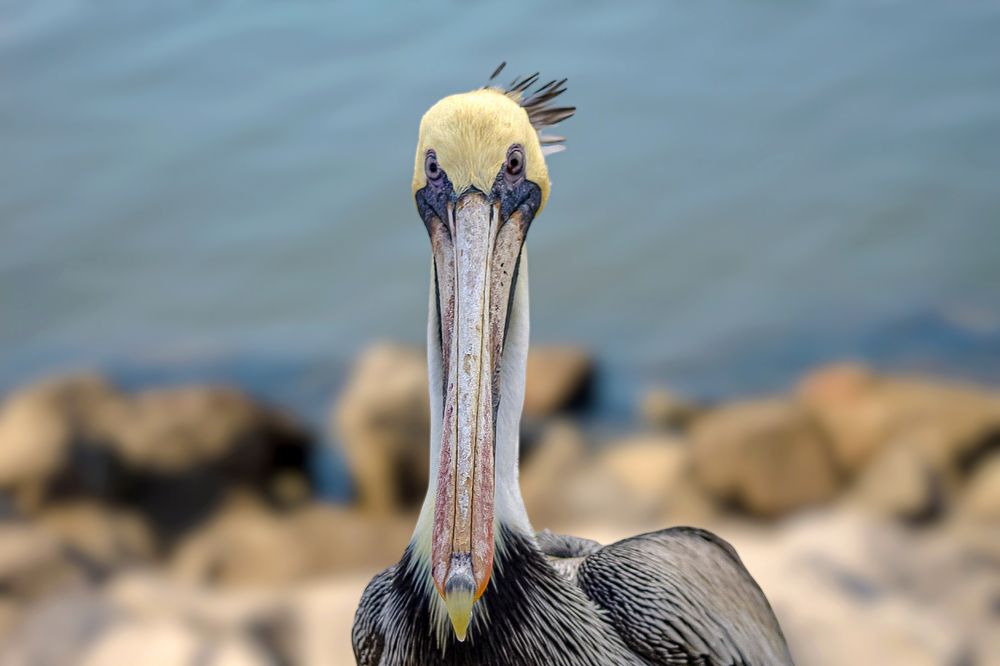 Фотография автора Jeff Cooley