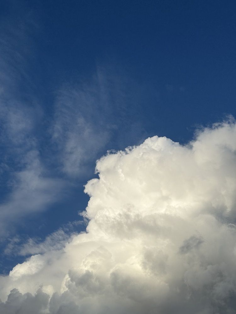 Photograph by Elvira