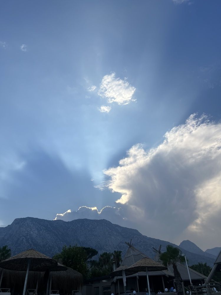 Photograph by Elvira