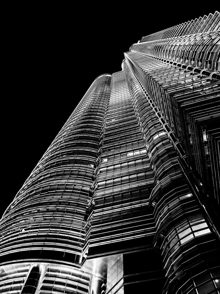 Фотография автора robot