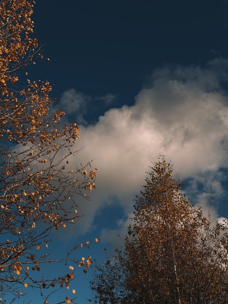 Photograph by Елена Михалева