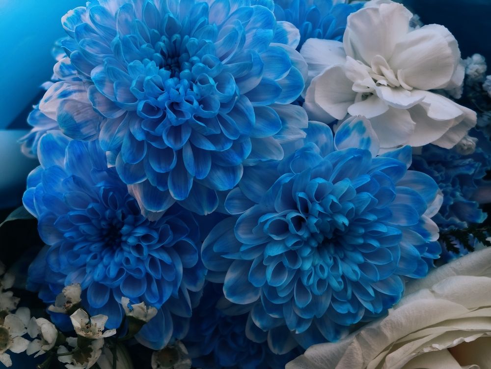 Photograph by Дарина Ворошилова