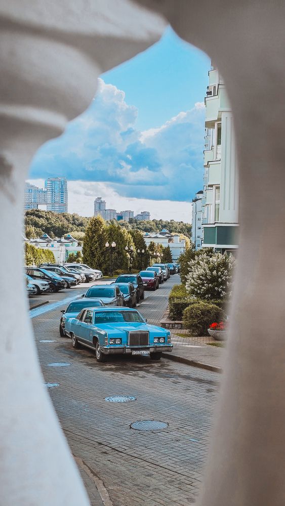 Фотография автора Юлия Киш