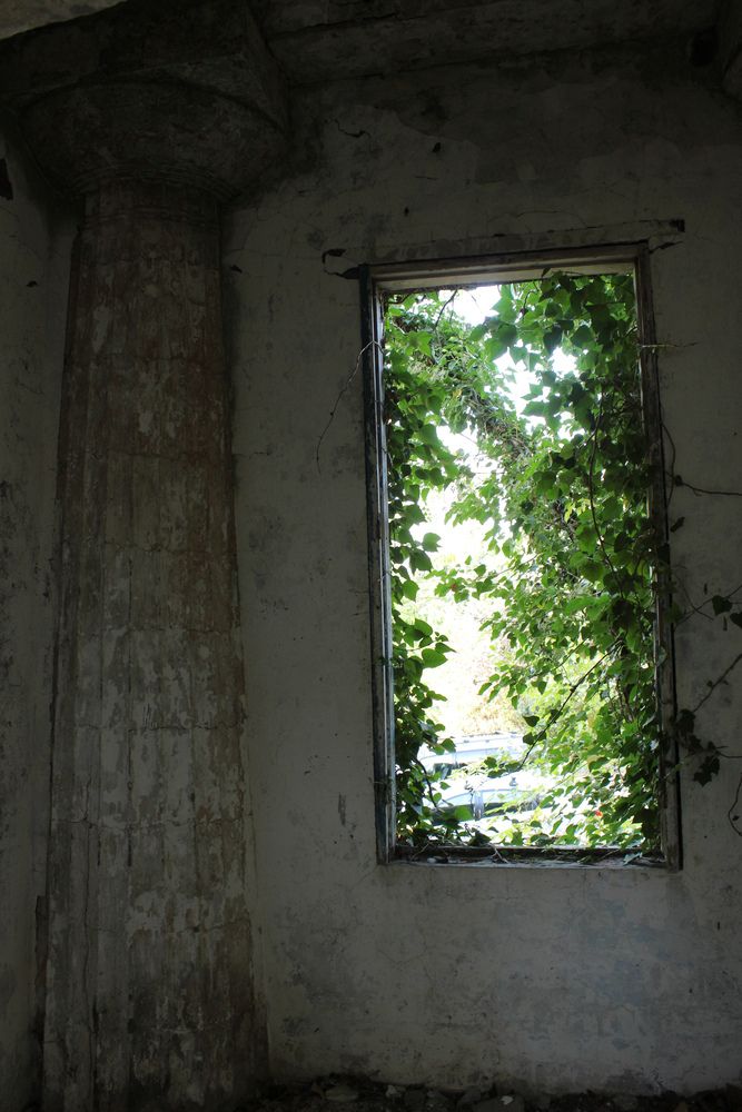 Photograph by Ирина Дмитриенко