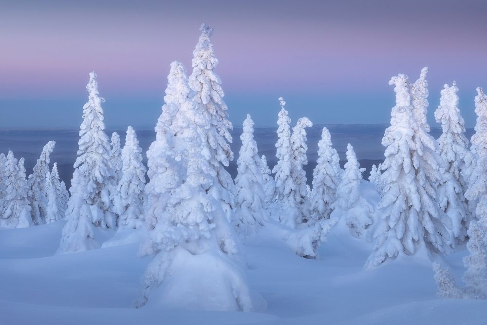 Photograph by Татьяна Бирюкова