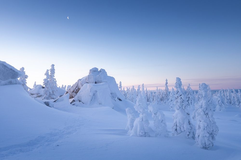 Photograph by Татьяна Бирюкова