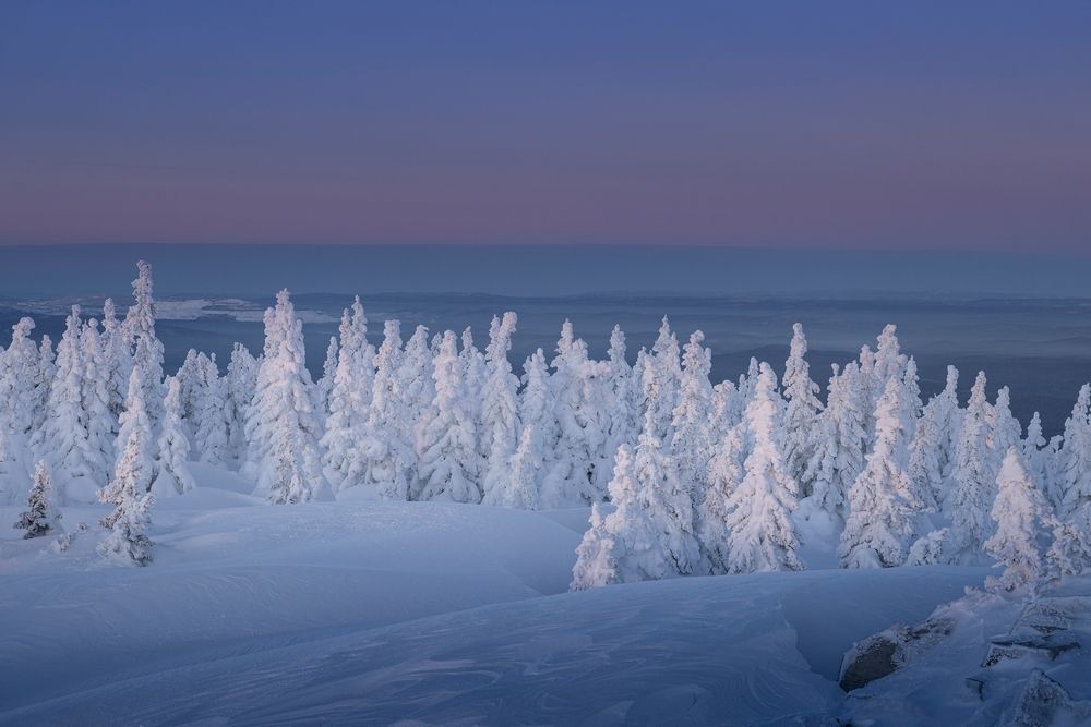 Photograph by Татьяна Бирюкова