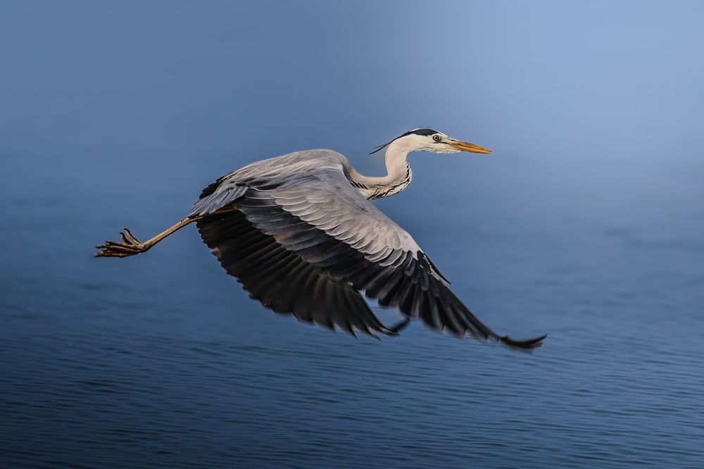 Photograph by Shalini Jain