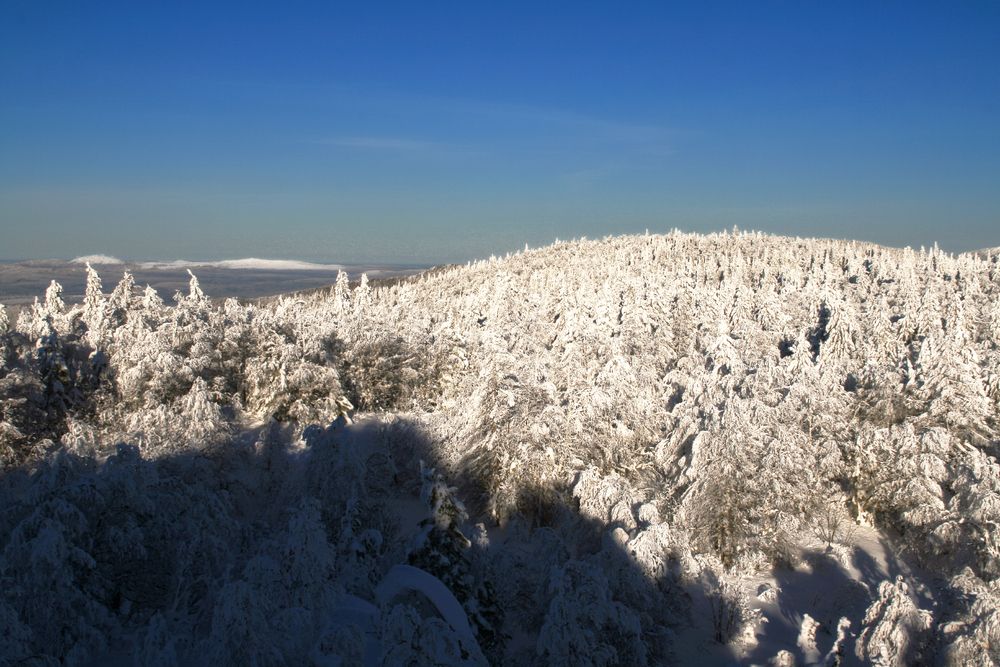 Photograph by Галина Ильясова