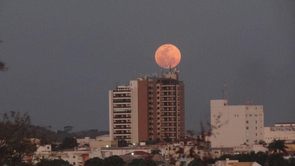 Photograph by Paulo Cesar da Silva