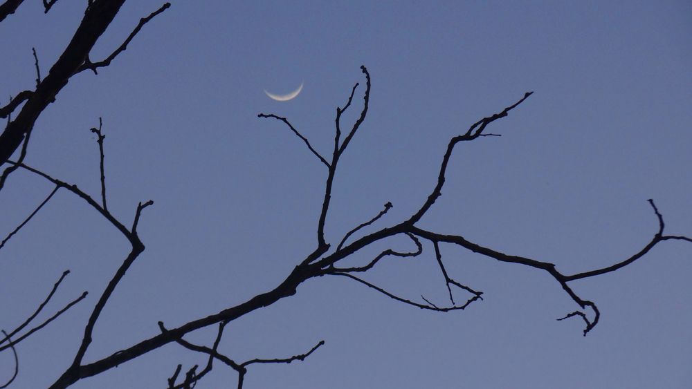 Photograph by Paulo Cesar da Silva