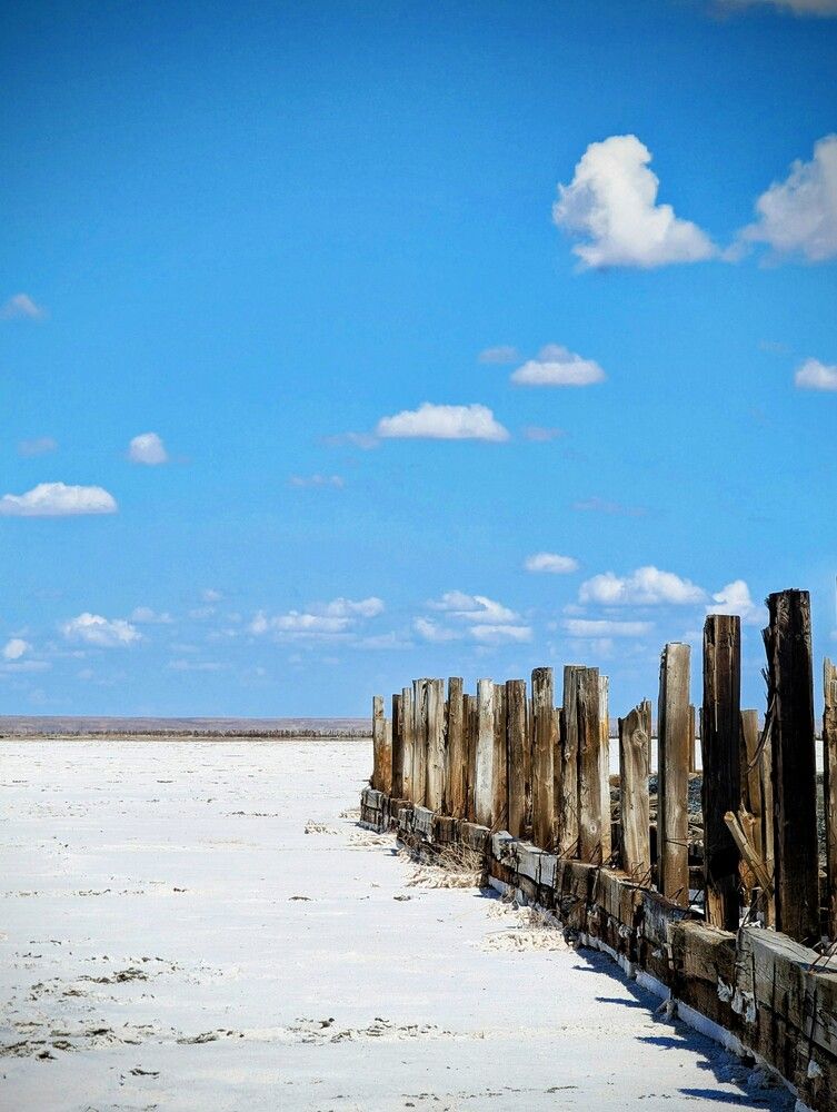 Photograph by AlexaL