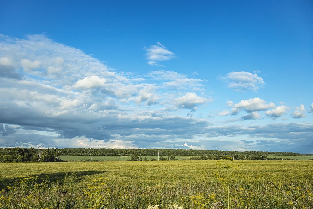 Photograph by Ivan Osipov