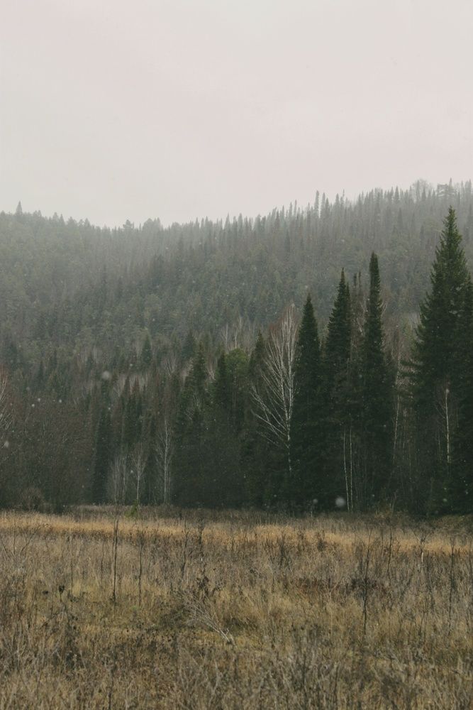 Photograph by Наталья Минина