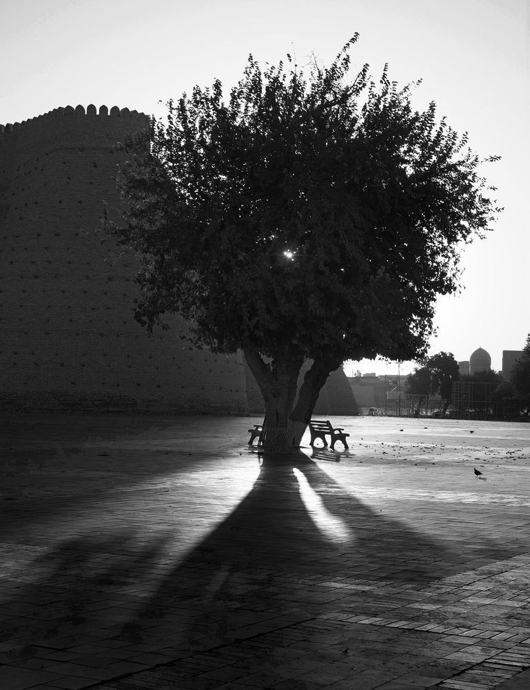 Photograph by Алексей Поляков