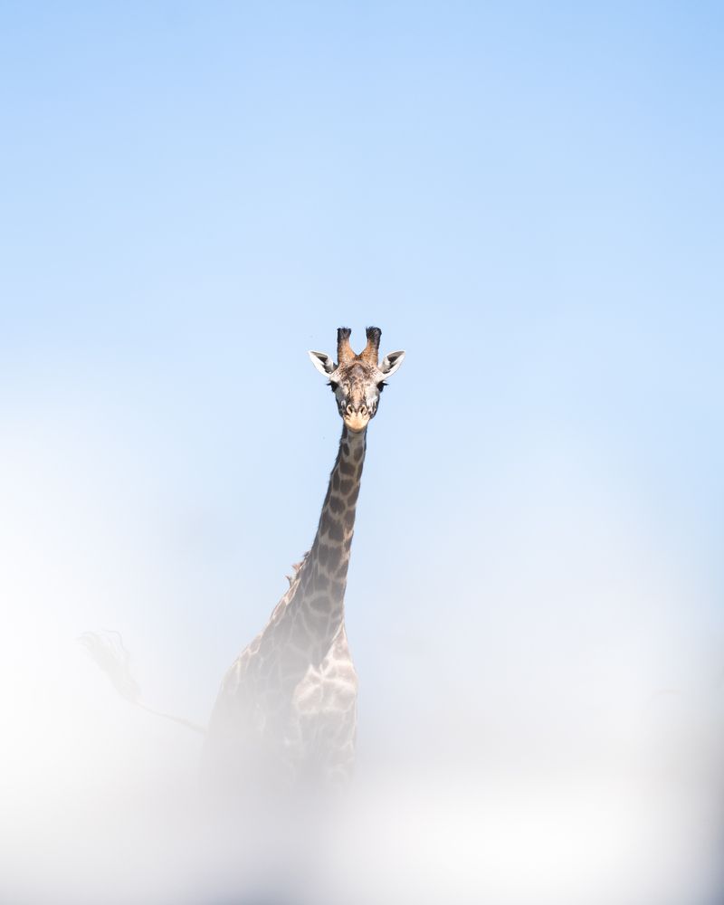 Photograph by Abhisek Bagaria