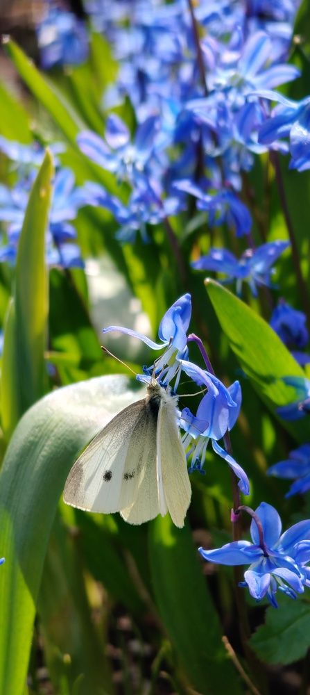 Photograph by Дарина Ворошилова