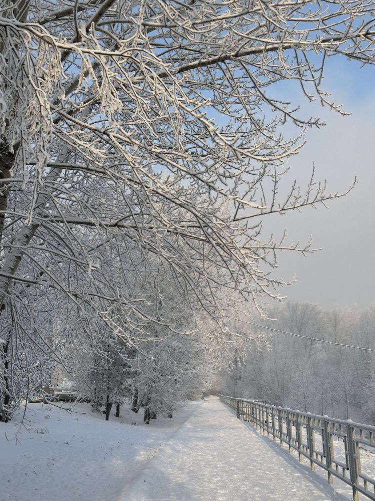 Photograph by Svetlana Tolkunova