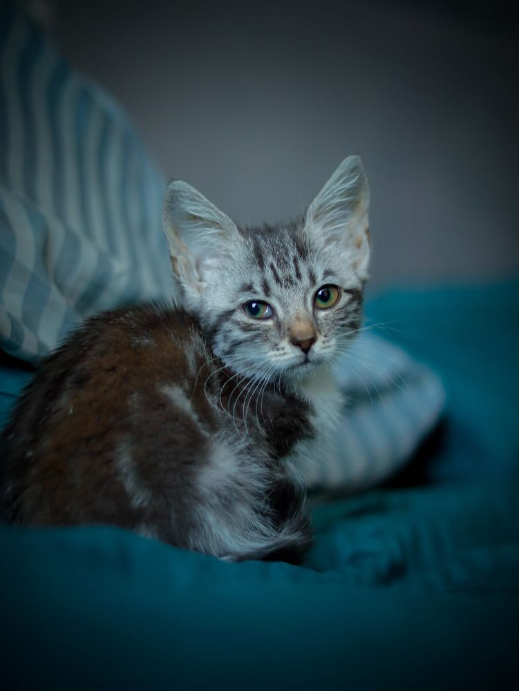 Photograph by Ekaterina Slepneva