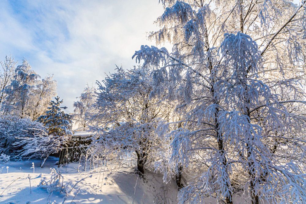 Photograph by Михаил Бояркин