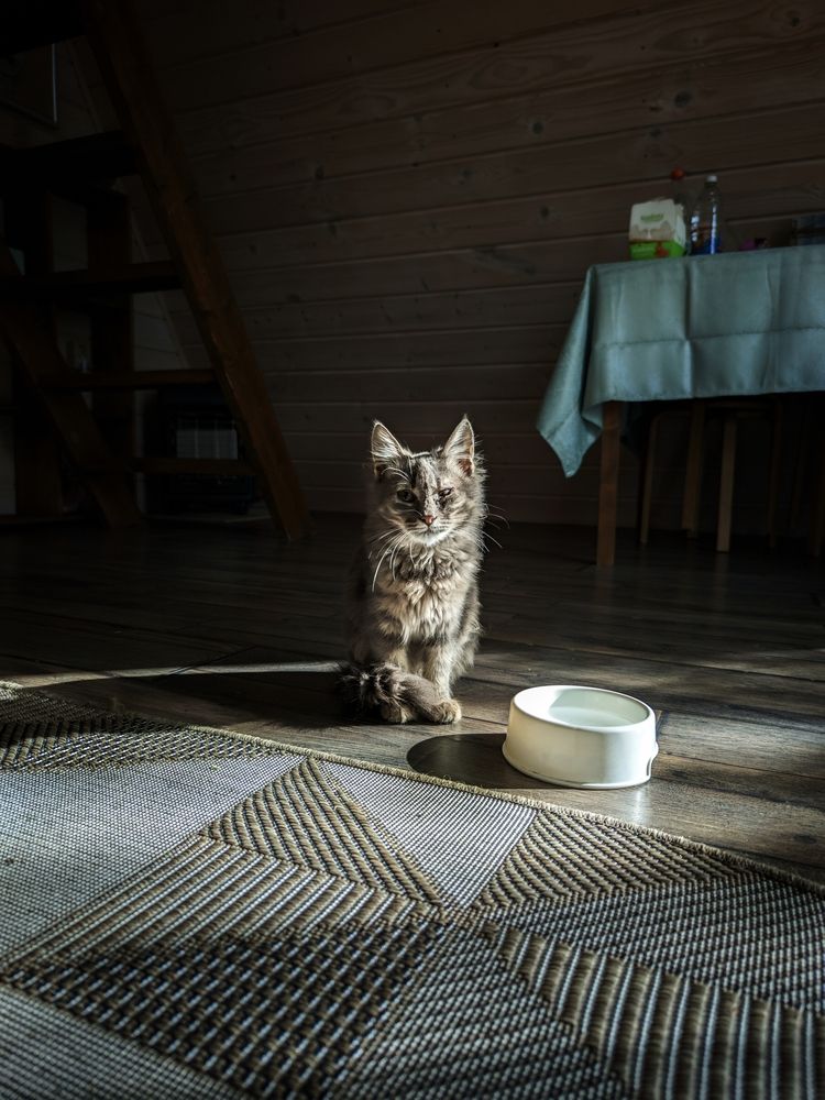 Photograph by Былков Евгений