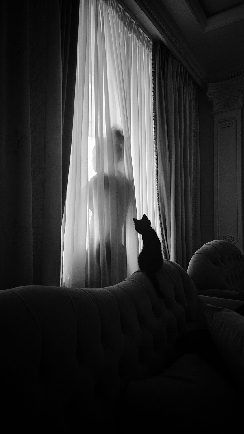 Photo #12969890