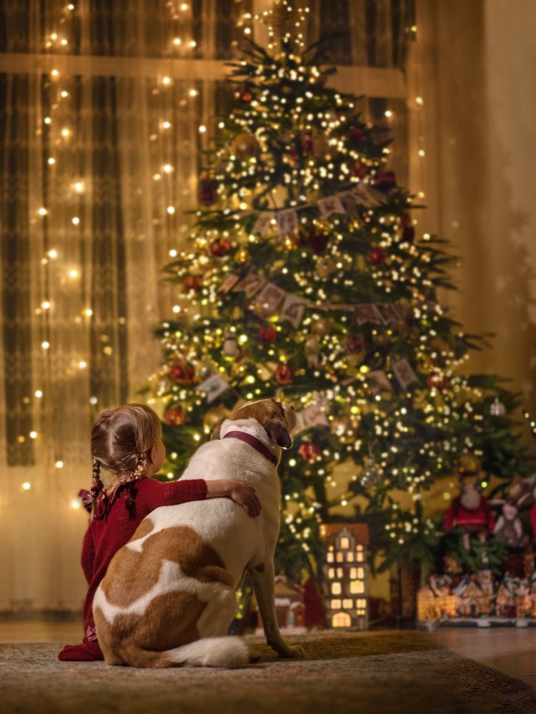 Photograph by Oxаna Karasko