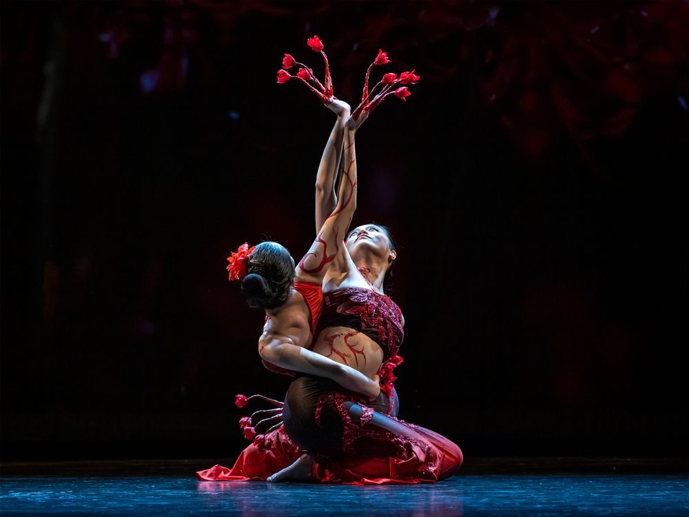 Photograph by Zhenhuan Zhou