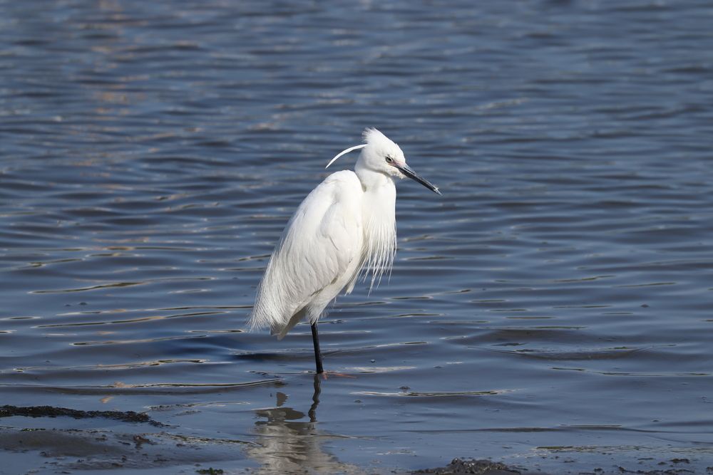 Photograph by Se Lena