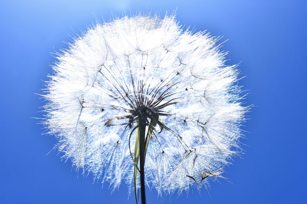 Фотография автора Ibrahim Alkan