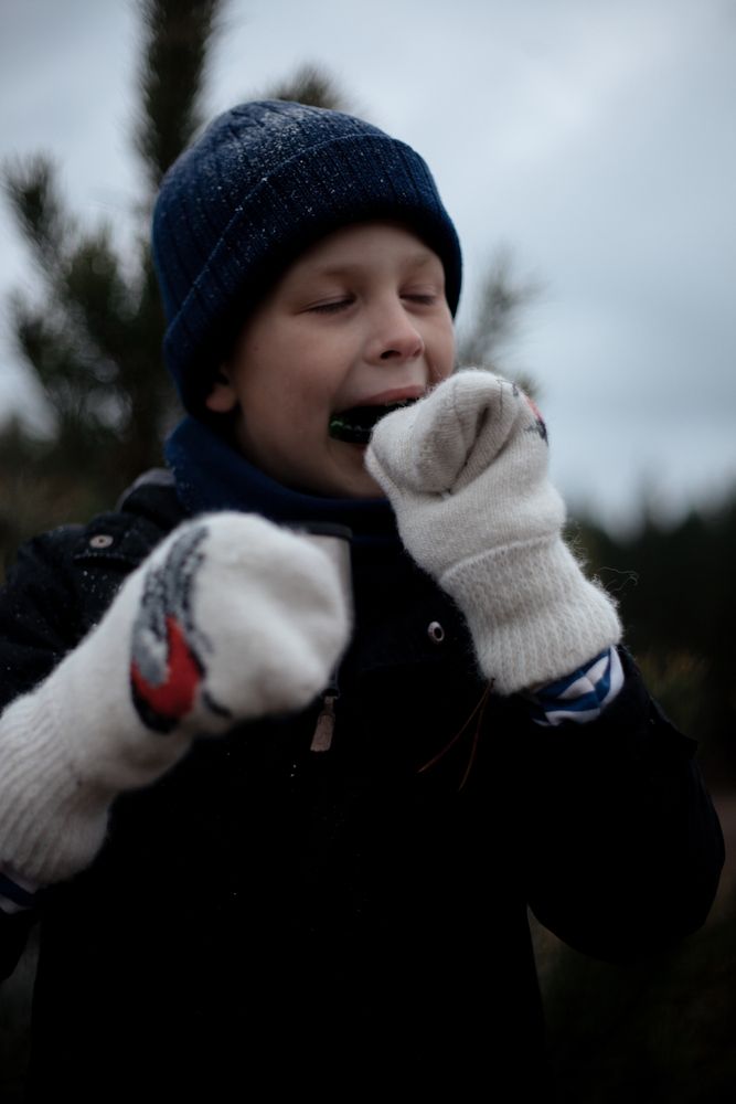 Photograph by Ирина Павловна