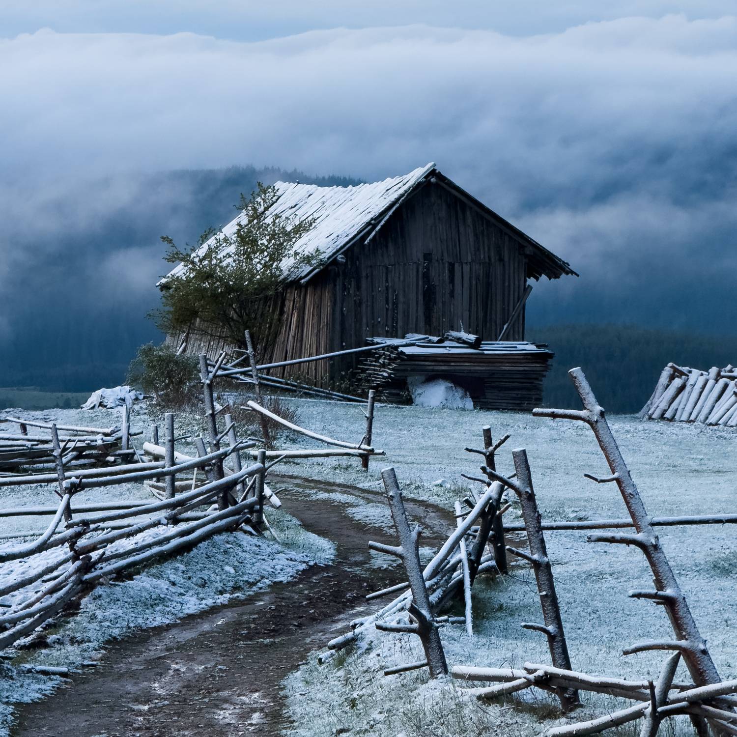 Фотография #12970100