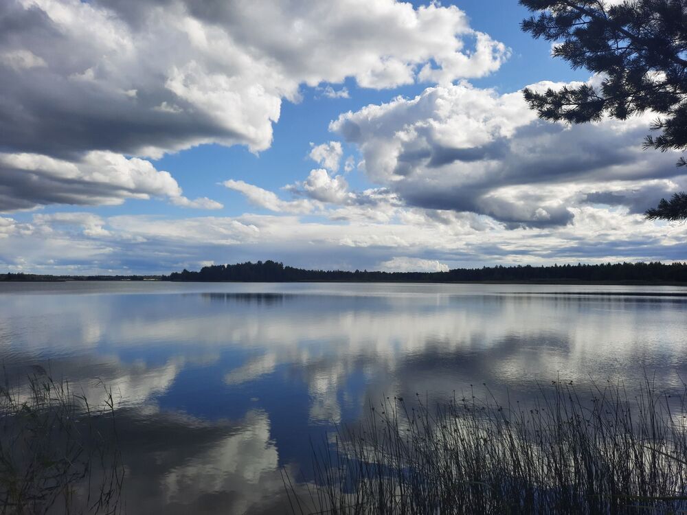 Photograph by Инна Демкив