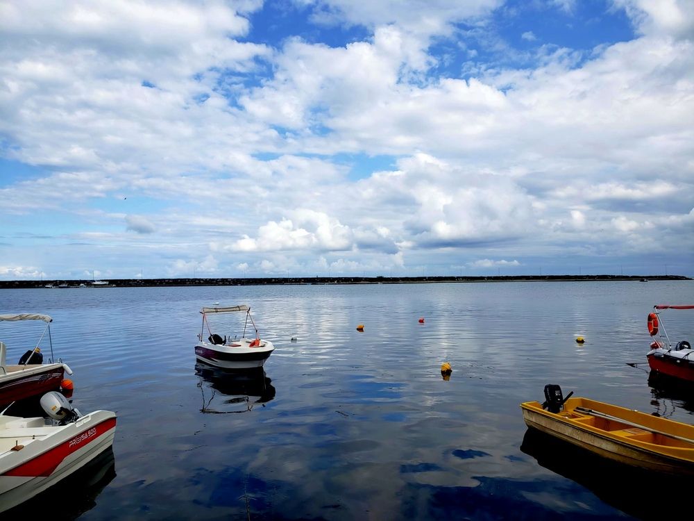 Photograph by Shaiban photography