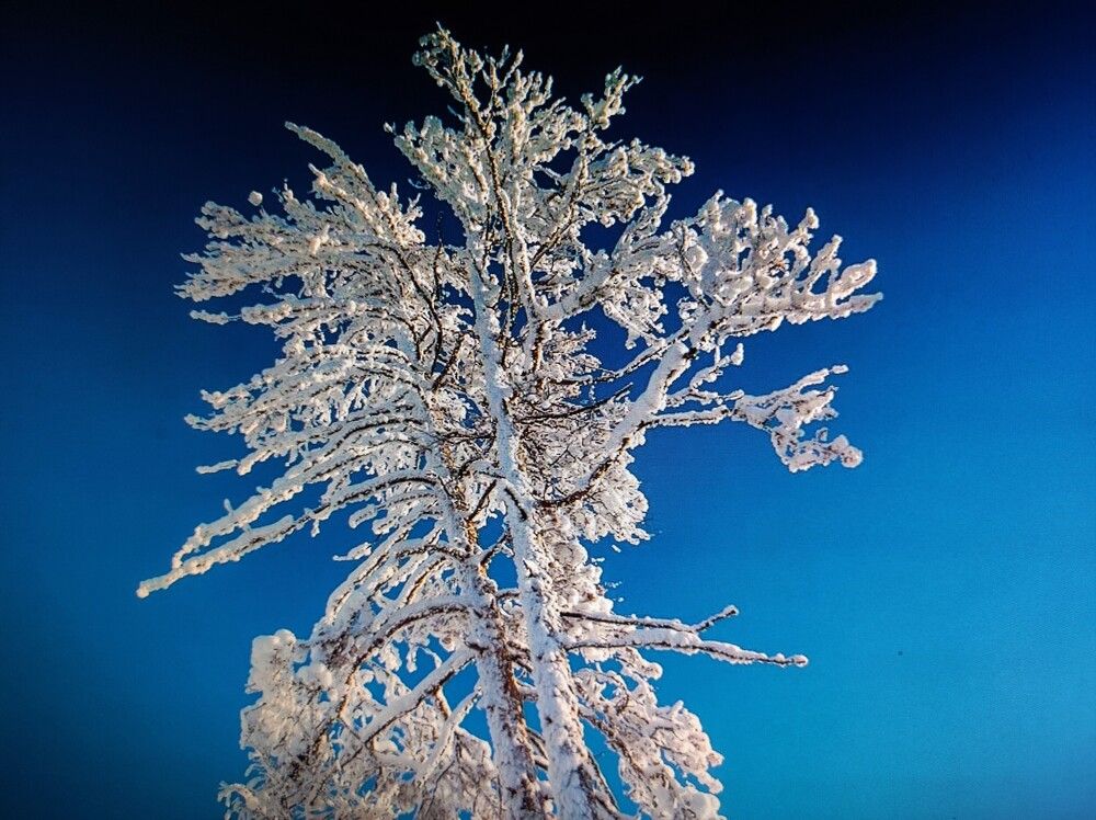 Photograph by Галина