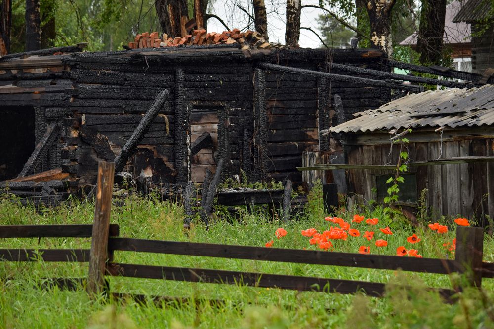 Фотография автора Оксана Льдинина