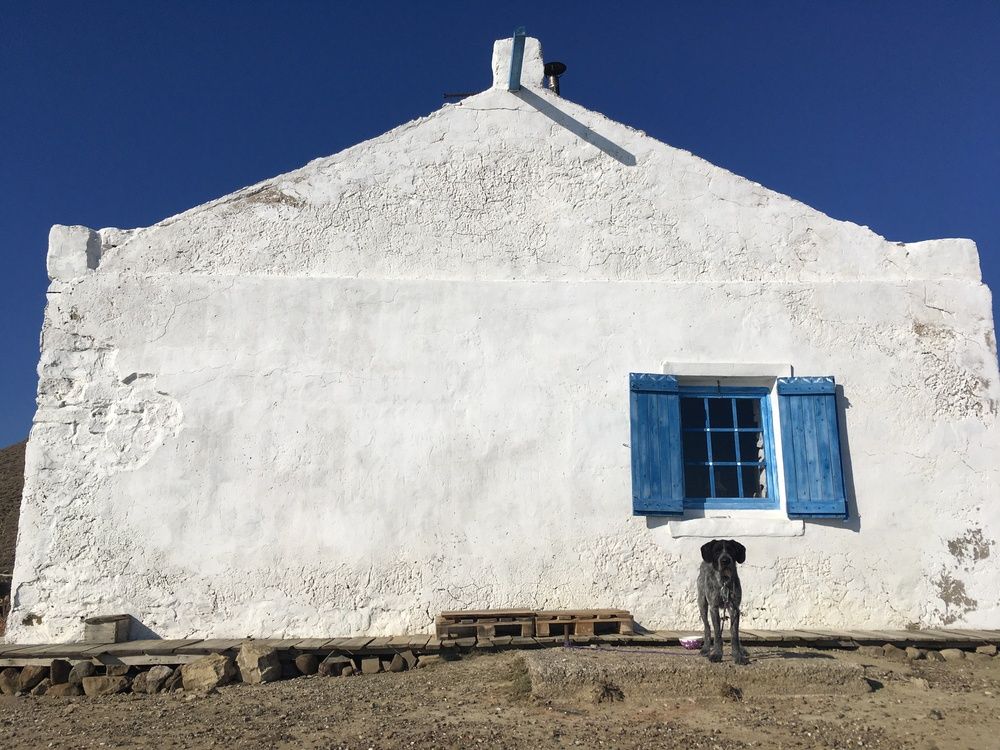 Photograph by Игорь Ребров