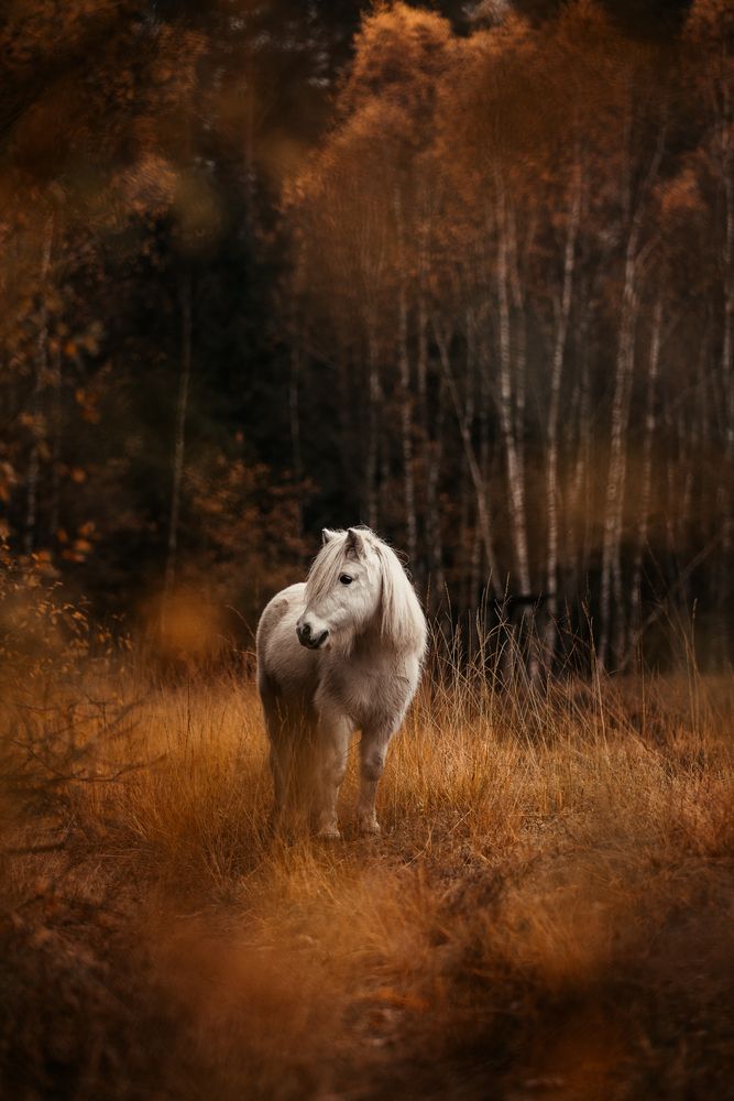 Photograph by Fabienne Gassmann