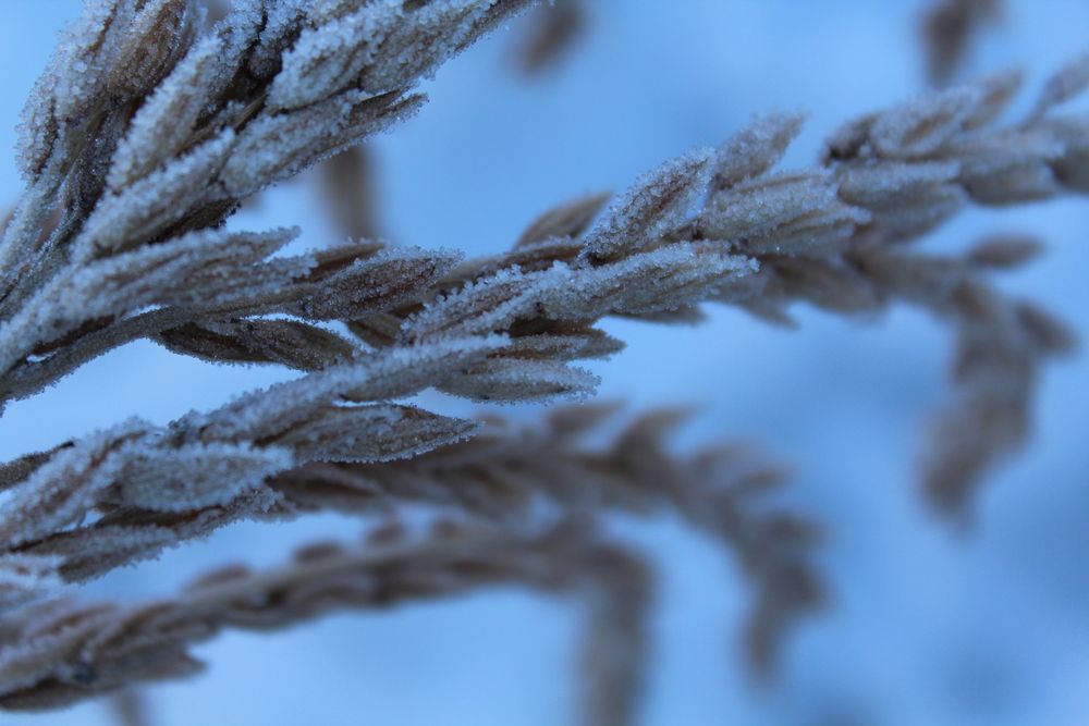 Фотография автора Юлия